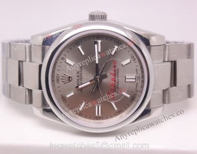 NEW Replica Rolex Oyster Perpetual Watch SS Gray Dial 1
