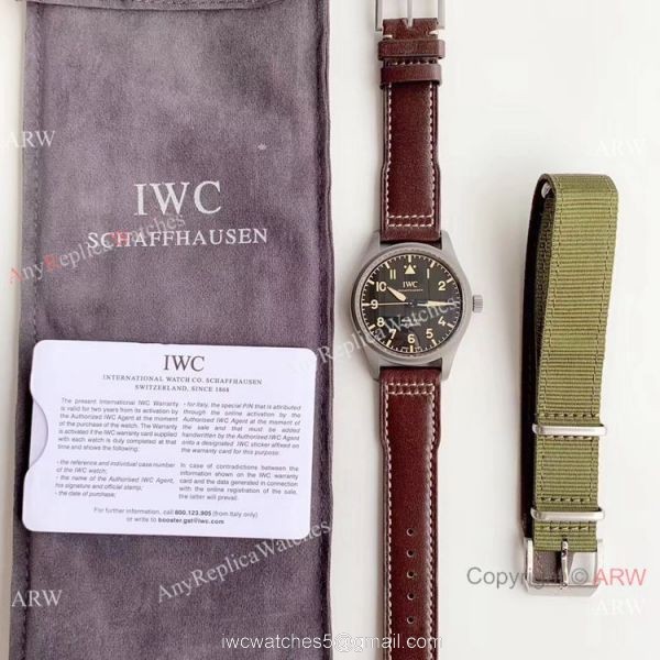 Swiss Grade 1A IWC Mark XVIII Replica Titanium Men Watch M+ Factory 2
