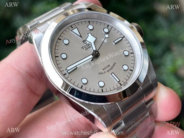 Swiss Replica Tudor Black Bay Cal.2824 Stainless Steel Silver Dial Watch 41mm 2