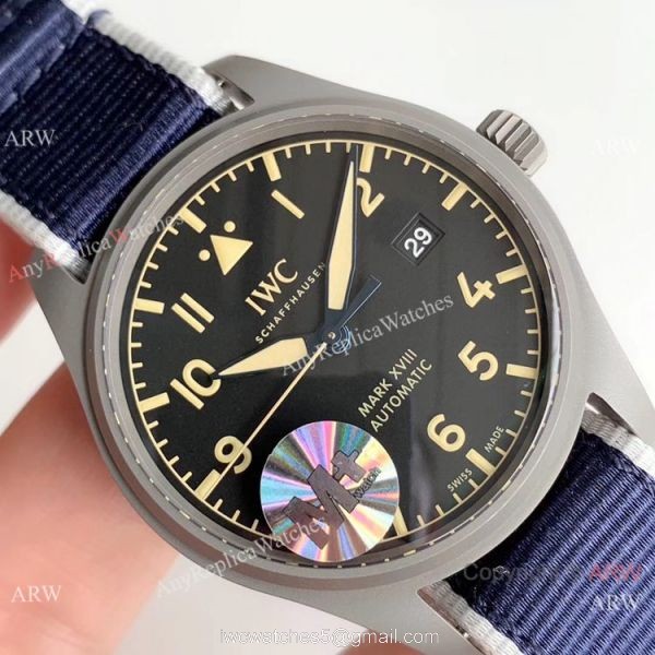 M+ Factory Swiss IWC Mark XVIII Replica Watch Titanium 40mm 4