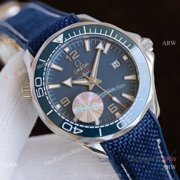 Best Quality Omega Seamaster Planet Ocean Automatic Watches Gray Face 4